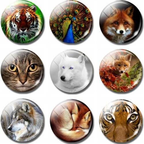 Cartoon Animal 30 MM Fridge Magnet Tiger Peacock Fox Cat Wolf Glass Magnetic Refrigerator Stickers Note Holder Decor