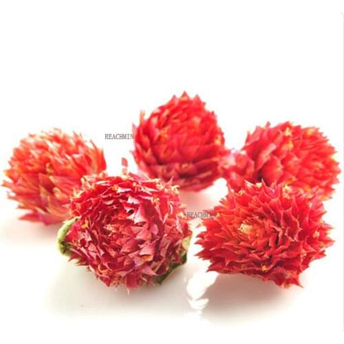 100g Free shipping natural dried red Gomphrena globosa flower buds&red globe amaranth flower bud