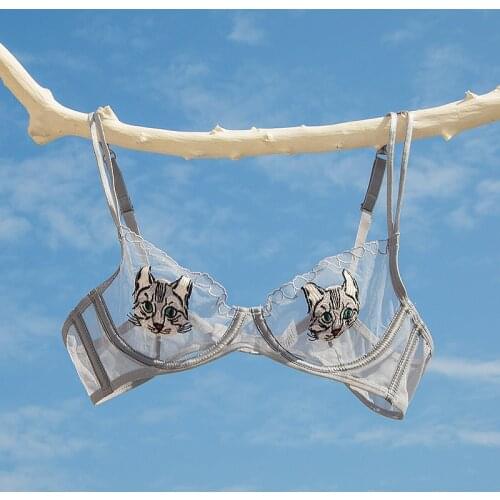 Girl beautiful house ultra-thin transparent embroidery sexy bra cover cartoon cat sexy underwear suits thin ladies fall