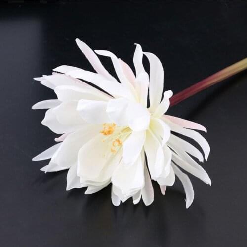 Artificial Flower False Floral Home Weeding Party Decor White Epiphyllum