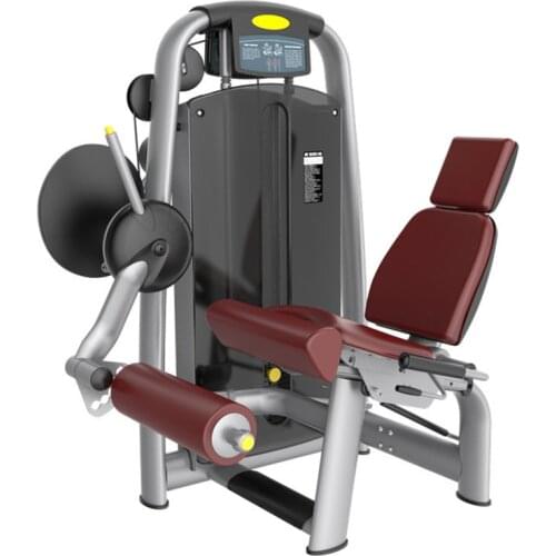 Seated Bent Leg Trainer Gym Exercise Thigh Muscles Biceps Femoris Trainer Indoor and Outdoor Large Fitness Equipment XJ