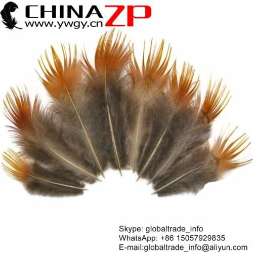 CHINAZP 200pcs/lot 6-10cm Natural Yellow Golden Pheasant Plumage Feather for Jewelry Making Fishing Sabiki and Crafts
