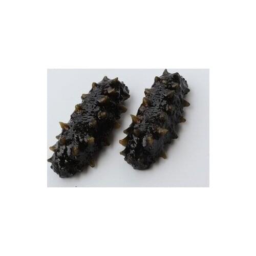 Free shipping 2pcs/lot Simulation food simulation sea cucumber furnishing articles party supplies