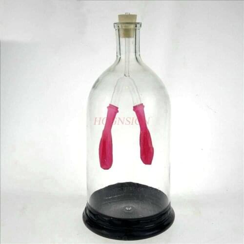 Diaphragm exercise simulator Middle school biological experimental equipment model Junior high school teaching instrument