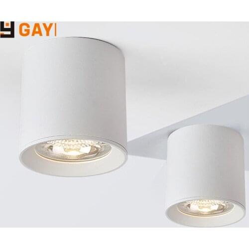 LED surface mounted ceiling downlight COB 10W 15W 20W 30w 50w 110V 220V warm white/cold white surface mounted indoor lighting