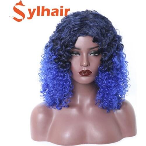 Sylhair Womens Short Afro Kinky Curly Wigs Ombre Blue Brown Synthetic Middle Part Nature Hair Black Daily Party Headgear with C