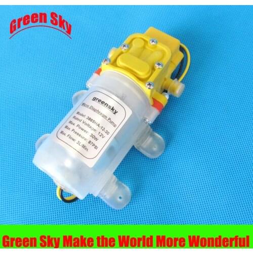 Electric sprayer pump watering irrigation usage DC 30W micro diaphragm 12v water pump self priming