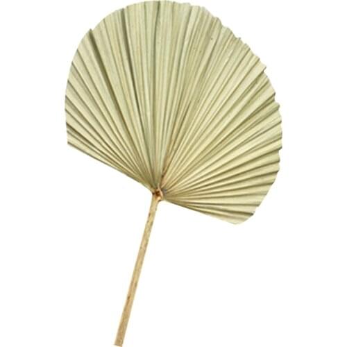 Handcrafts Palm Fan Natural Dried Flower Palm Leaf Window Reception Party Art Wall Hanging Decoration Wedding Arch Arrangement