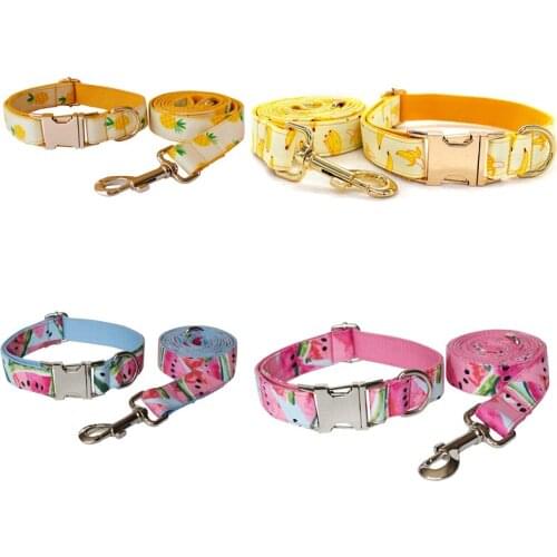 Fruit Dog Collar Traction Rope Set Pitbull Personalized Engraved Pet Name Retailing Supplies Accessories