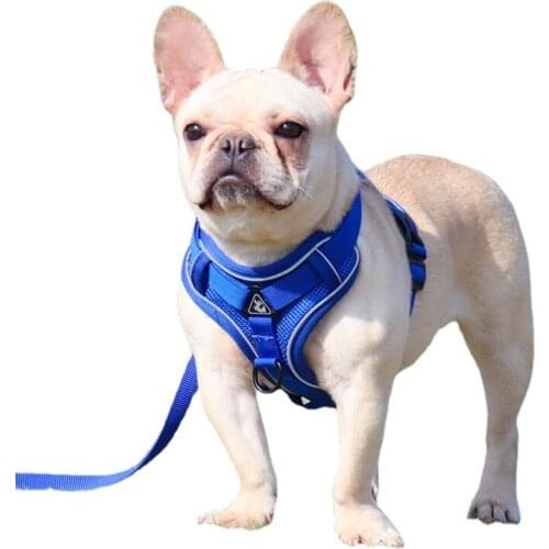 Breathable Dog Collar Accessories Nylon Dog Collar Cat Harness Vest Small Medium Dogs Cats Harness for Chihuahua Walking