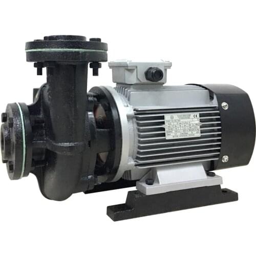YUAN SHIN PUMP S.G.PERSICETO(BO) TYPE YS-35A YS-35B YS-35C YS-35D 120℃ 180℃ 200℃ Water pump oil pump