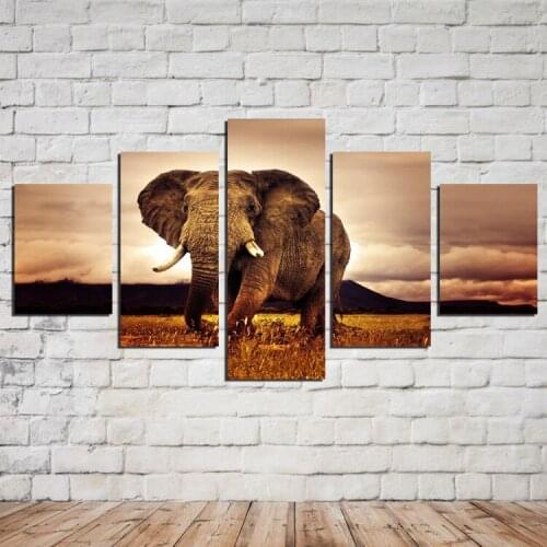 Elephant Paintings For Living Room Wall Animal Canvas Pictures Decorative 5 Pieces Canvas Art No Frame Canvas Painting