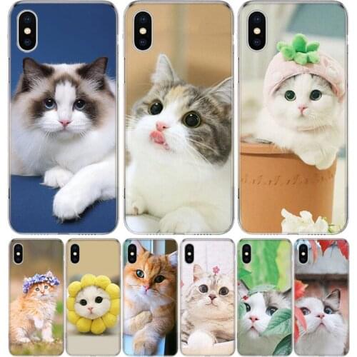 Cute pet cats Phone Case for Apple iphone 11 12 Mini Pro XR X Xs Max 7 8 6 6s Plus 7G 6G 5G 5S 5 SE + Customize Cover Coque