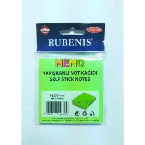 Rubenis Diaries And Notebooks