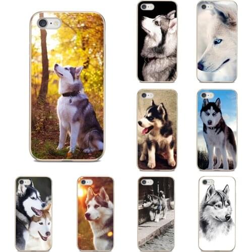 Funny Siberian Husky Dog Soft Transparent Covers For Samsung Galaxy Note 20 S20 Plus S20 FE Ultra A12 A20E A21S A31 A41 A51 A71
