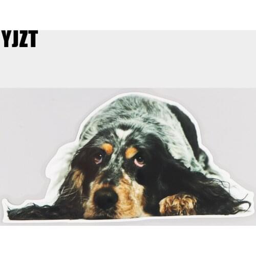 YJZT 20×10.2CM Springer Spaniel Lovely Animal Vinyl Decals Bumper Decoration Car Sticker 21A-0632