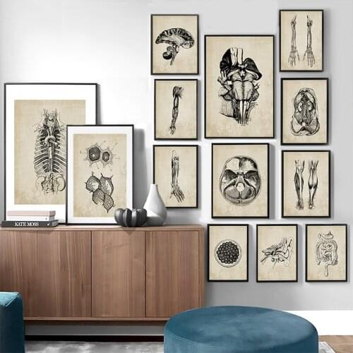 Retro Human Bone Anatomy Skull Mural Poster Clinic Wall Canvas Painting Education Medical Hospital Decorative Painting Cuadros