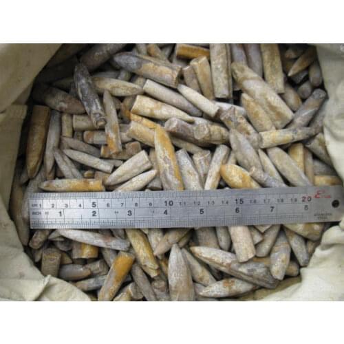 1000g(2.2lb) Natural Rare The arrow fish fossil specimens (Belemnoidea)