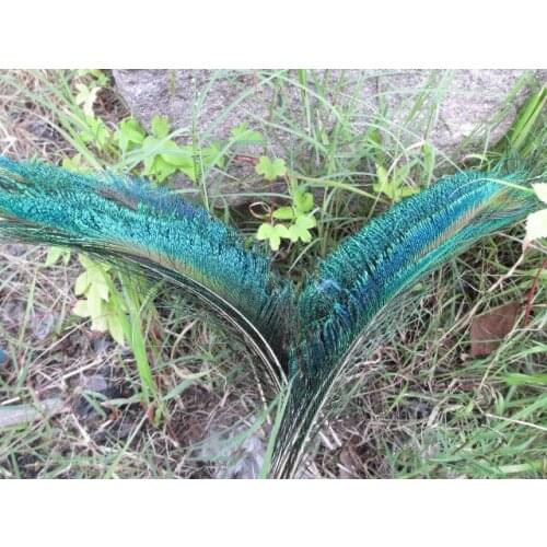 100 pc 12-14inches / 30-35cm high quality natural peacock feather DIY Art Deco fittings