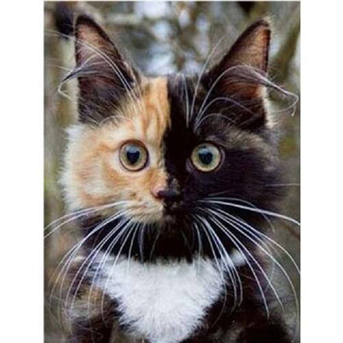 YIKEE diamond painting cat,cross stitch diamond,diamond mosaic paintings Y425