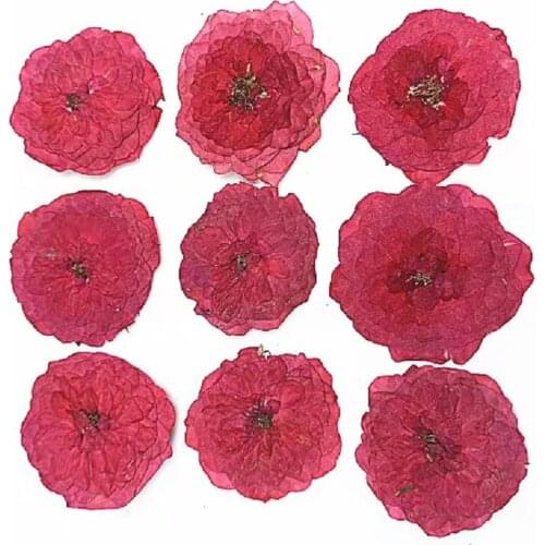 30pcs Natural Pressed Dried RoseFlower For Epoxy Resin Jewelry Making Bookmark Phone Case Face Makeup Nail Art DIY