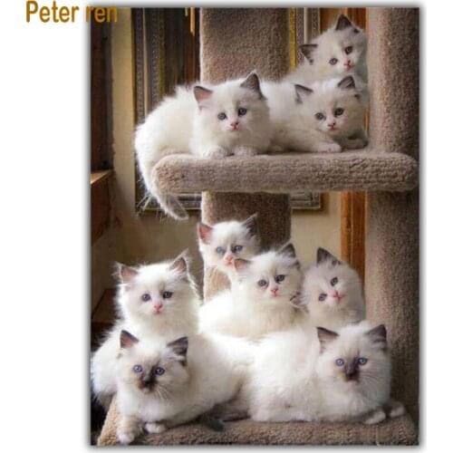 5d Diamond painting kitten cross stitch Home Decor animal Square\Round diamond mosaic Full Diamond embroidery Cat has nine lives