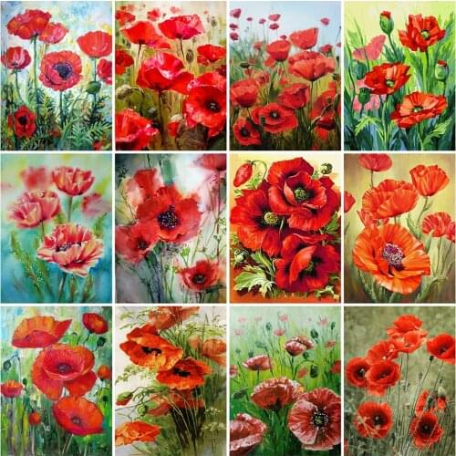 Evershine 5D DIY Diamond Painting Poppy Hobbies And Crafts Diamond Embroidery Flower Cross Stitch Mosaic Home Decorations
