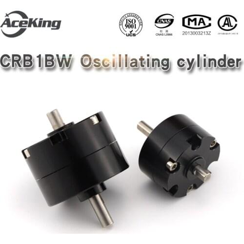 AceKing crb1bw10/15/20/30/40-90s-180/270s-vane type rotary swing cylinder CDRB1BW with magnetic adjustable CDRB1BWU swing table
