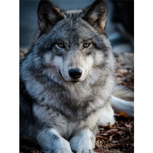 Animal Wolf DIY Cross Stitch 11CT Embroidery Kits Craft Needlework Set Cotton Thread Printed Canvas Home Decoration Sale