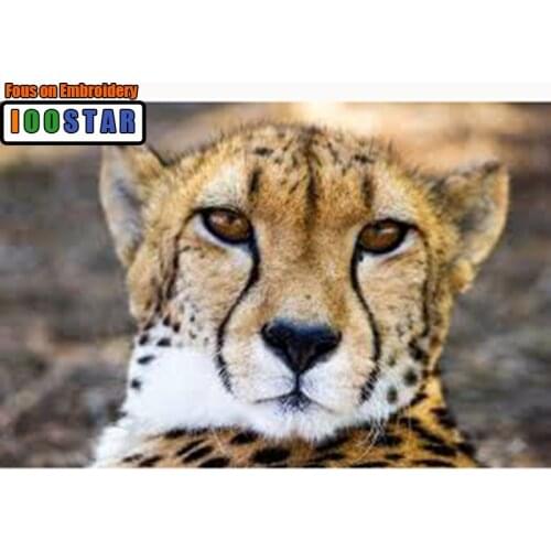 Full Square Diamond embroidery Cross stitch animal cats Full Round Diamond mosaic Cheetah 3D DIY Diamond painting leopard