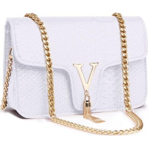 Bolsa Feminina Chain Crossbody Bags for Women 2021 Luxury handbags Women Bags Designer Snake Skin Women Bag Girls Shoulder Bags