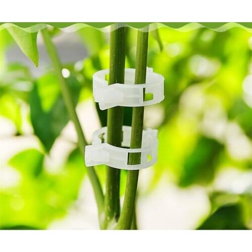 50pcs Tomato Holder Applicator Vegetable Melon Plant Buckle Plant Clip Plastic Tie Folder Flexibility Not Hurting Seedlings