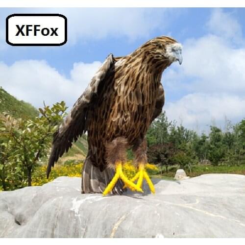 Big real life eagle bird model foam&feather simulation little wings eagle bird doll gift about 50x40cm xf0835