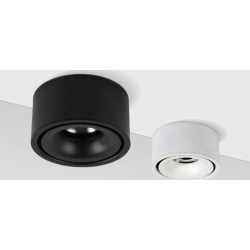 Surface Mounted Downlight Ceiling Lamp 5W 7W 9W 12W LED COB Spot Light AC110/220V Ceiling Light