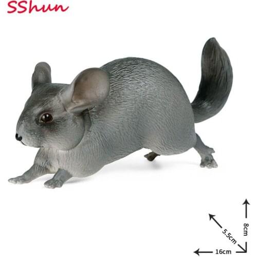 16*5.5*8CM Simulation solid wild animal model childrens science and education toy mouse large chinchilla chinchilla