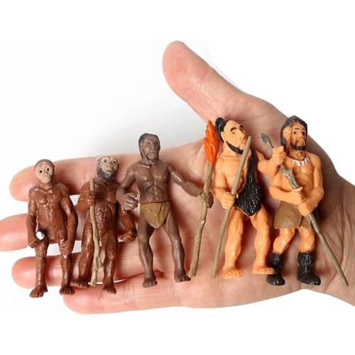 Human Action Figure Toy Collection Kids Science Cognitive Office