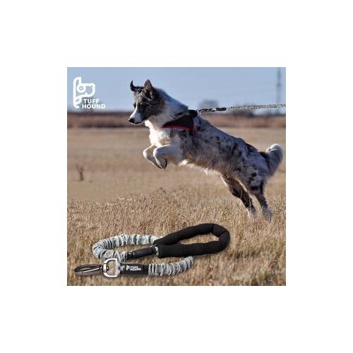 Leashes Dog Leash Dog Supplies Dog Collar Accessories Dogs Pets Accessories Dog Chain Dog Accessories Dog Seat Belt