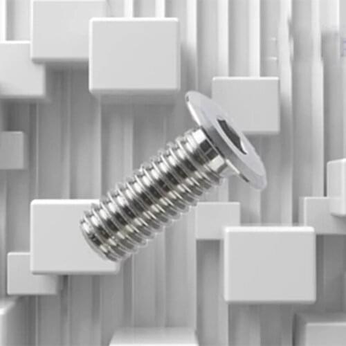 10Pcs M2 Stainless Steel super Short head Allen inner hexagon Screw Hole type hex bolt Length 3mm-10mm