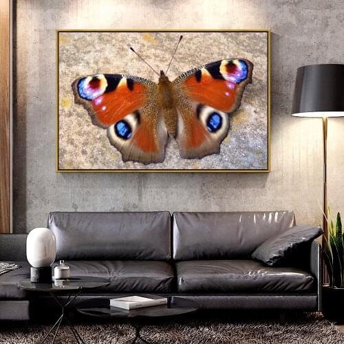 Artcozy Oil Canvas Painting colorful butteryfly For Home Decoration Wall Art