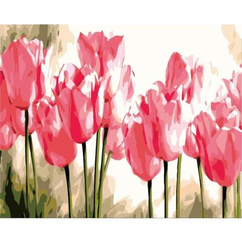 Paint by Numbers Kits for Adults DIY 40CM*50CM ALI_V1_1353