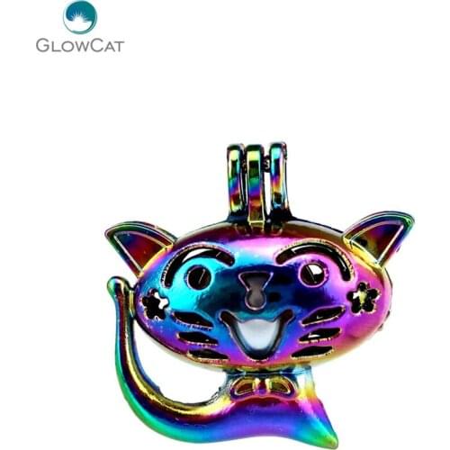 C758 5pcs/lot Rainbow Color Cute Smile Cat Cage Pendant Pearl Locket Fairytale Party Essential Oil Diffuser