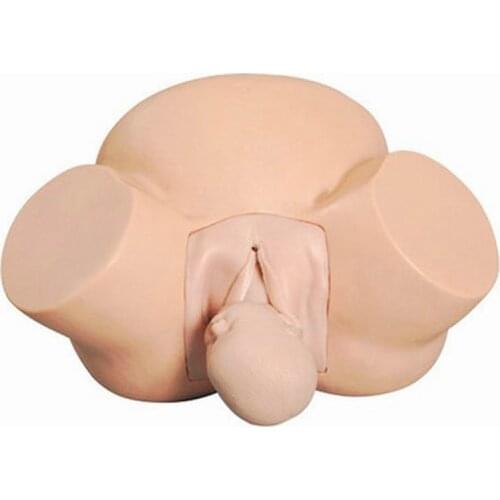 Brand New Medical teaching model Accouchement model Midwifery Training Simulator,Advanced Vacuum Delivery Simulator