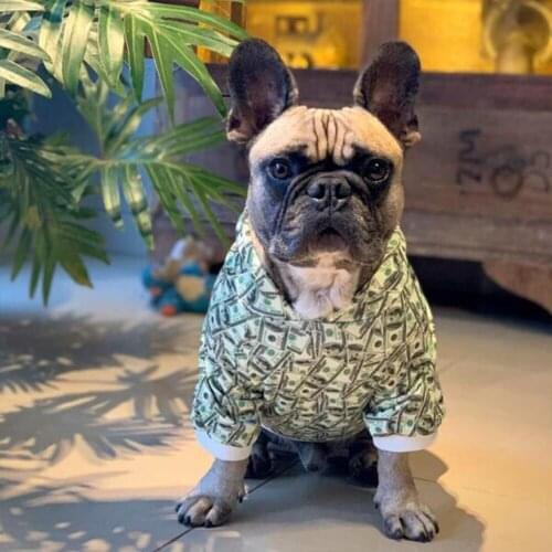 Money Print French Bulldog Hoodies Costume Sweater Chihuahua Costume XS-2XL Dropshipping PC1464