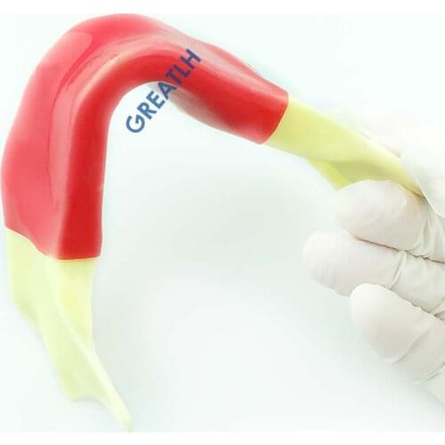 Dental Mandibular jaw model with silicone for practise incision implant suture dentist implant practise model M2027