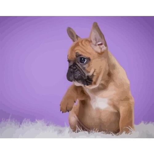 DIY Kits Dog Oil Painting By Numbers On Canvas With Framed Handmade For Adults Picture Drawing Coloring By Number Decor Wall Art