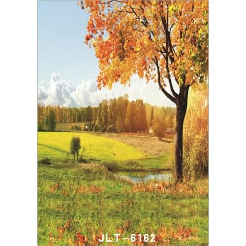 Foto Backgrounds for Photo Studio Scenic Autumn Tree Computer Printed Vinyl Photography Backdrop Photocall for Weddings Children