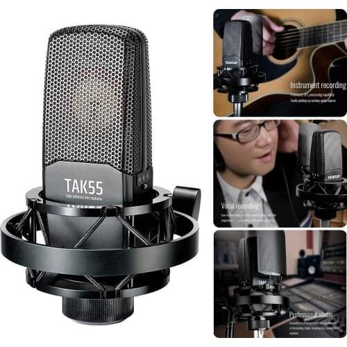 TAKSTAR Recording mini Microphone Condenser Mic with Metal Windscreen Shock Mountfor Studio Video Recording Live Broadcast MIC