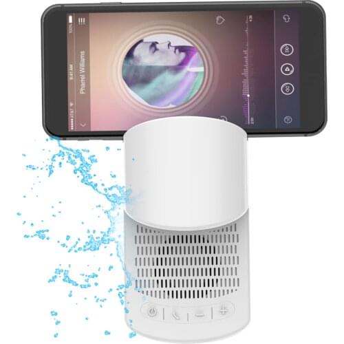 MAIHA Ceiling Speakers