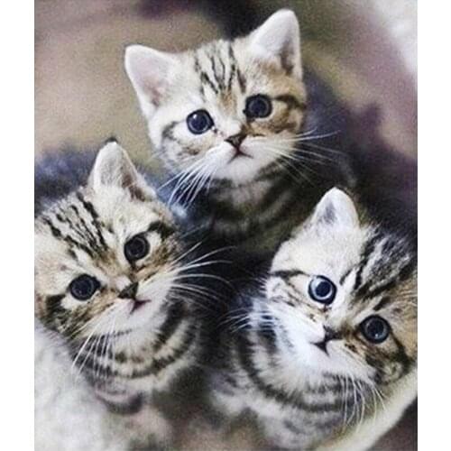 Diy diamond painting set THREE CAT 30X35CM cross diamond rhinestone stick painting square drill full rhinestone diamond #BR16