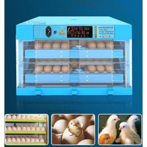 Chicken, Duck, Goose, Water Bed Incubator, Incubator, Incubator, Incubator, Chicken, Small Household, Full-automatic, Intelligen